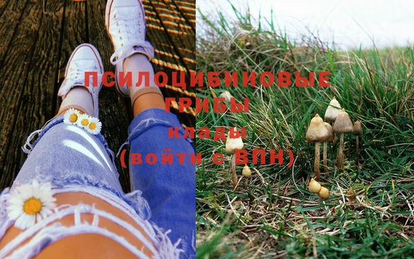 гашиш Ельня