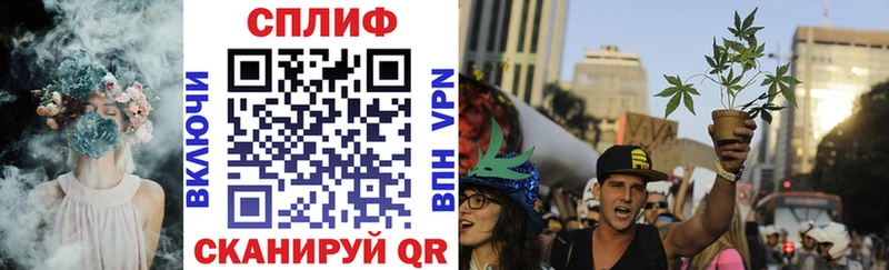 как найти закладки  мориарти формула  Канабис VHQ  Петров Вал 